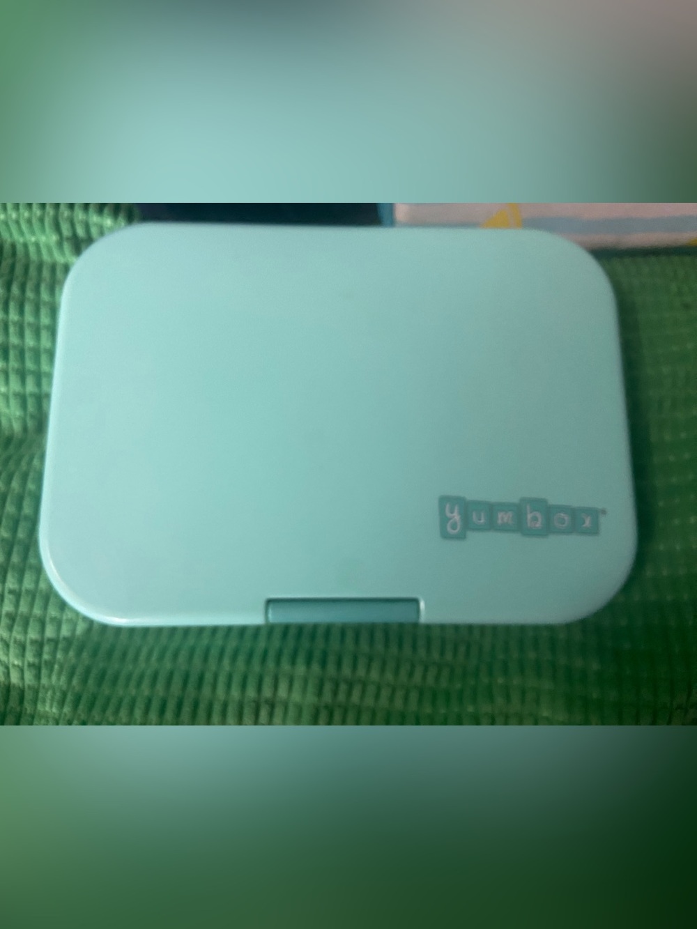 Mint Green Lunch Box - Portable Serveware Container